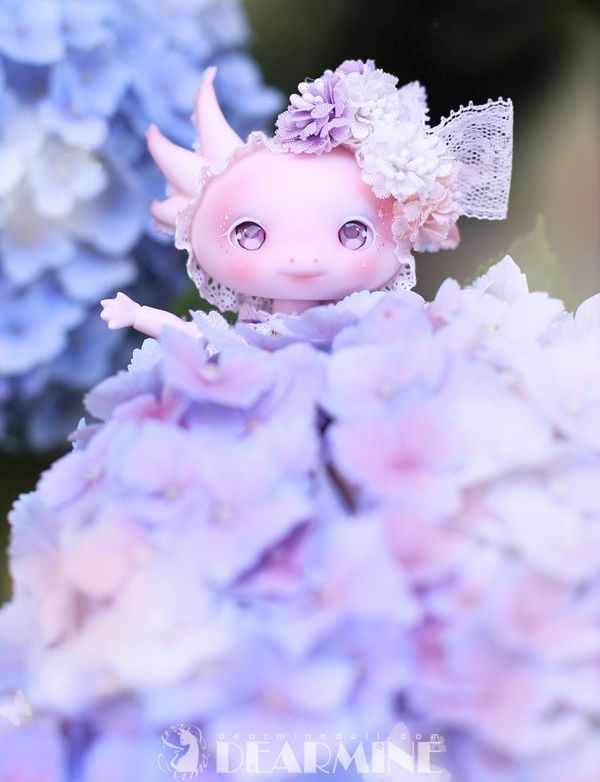 期間限定】LUPY rose skin <2023 summer>｜DOLK（ドルク）