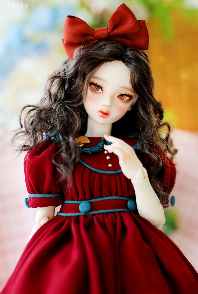 数量＆期間限定】Heuchera L: Wood Grey｜DOLK（ドルク）