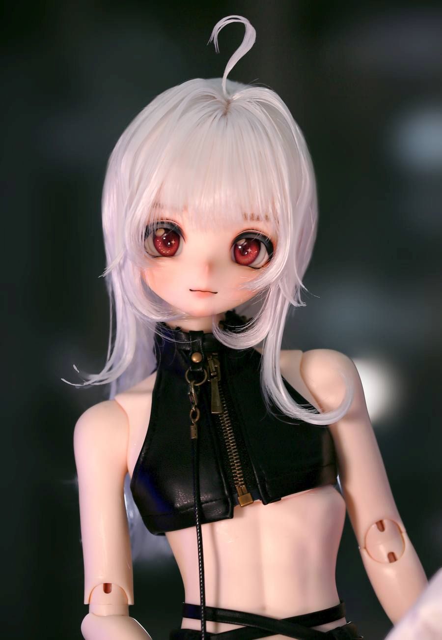 期間限定】1/4 Head｜DOLK（ドルク）