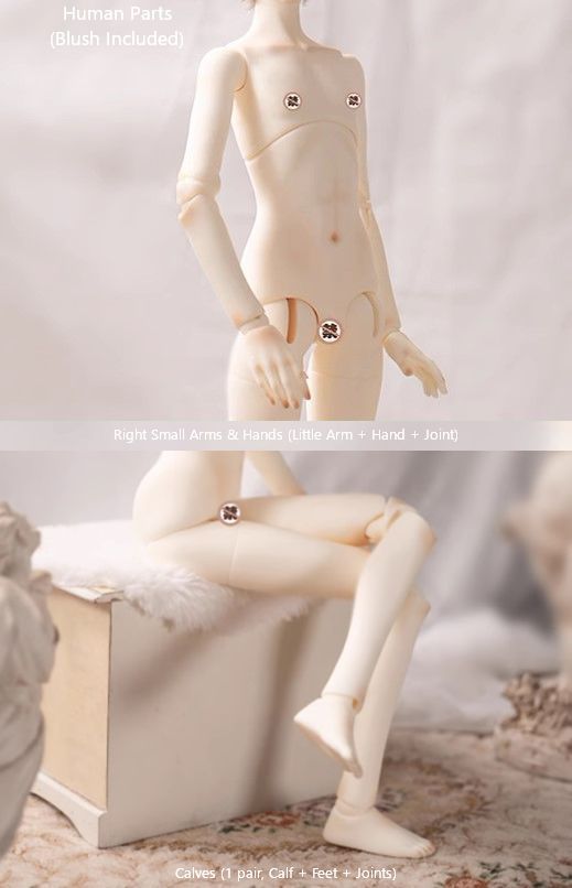 期間限定15%OFF】Carlos Animal Ver.｜DOLK（ドルク）
