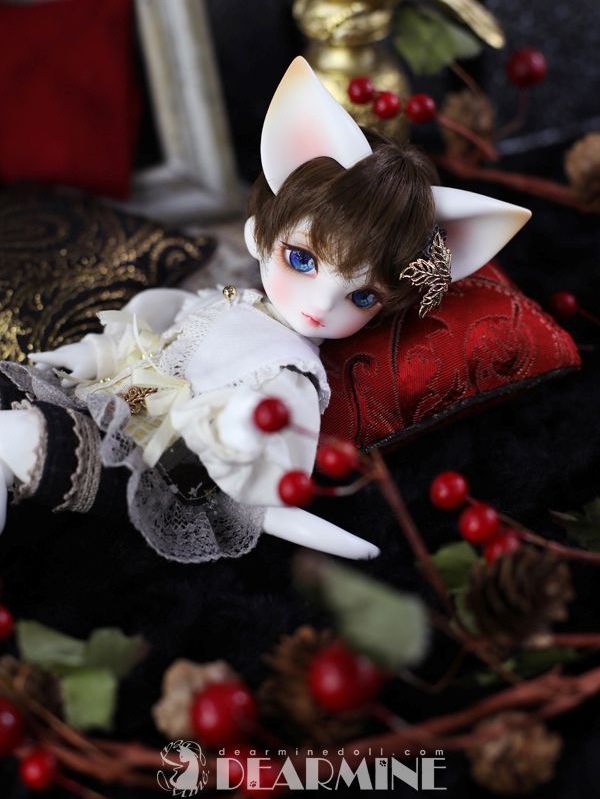 数量＆期間限定】BENJAMIN ~Étoile~｜DOLK（ドルク）