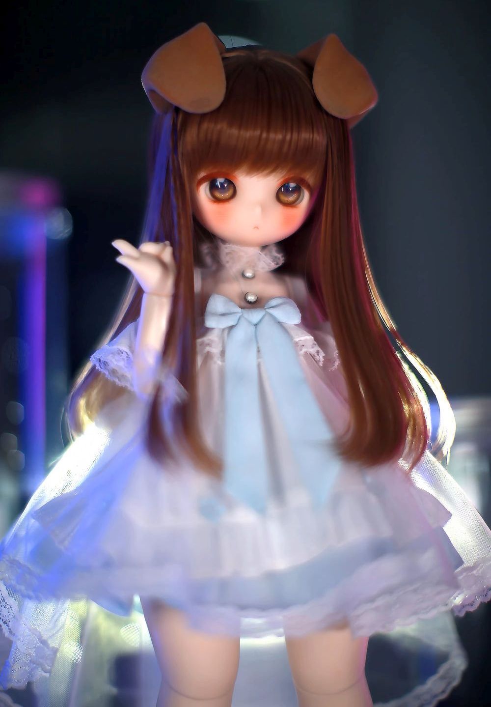 期間限定】1/6 Head (小兔豆, 小喵豆) ｜DOLK（ドルク）