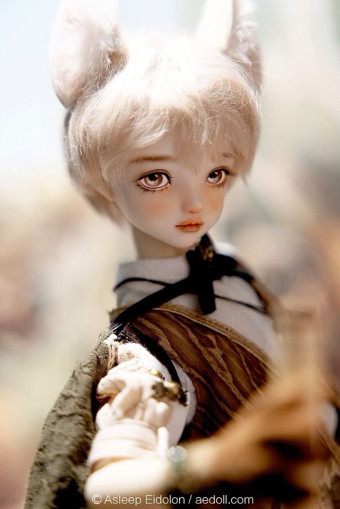 即納】Todd ＊ノーマルスキン｜DOLK（ドルク）