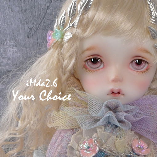 期間限定】iMda2.6 Your Choice｜DOLK（ドルク）