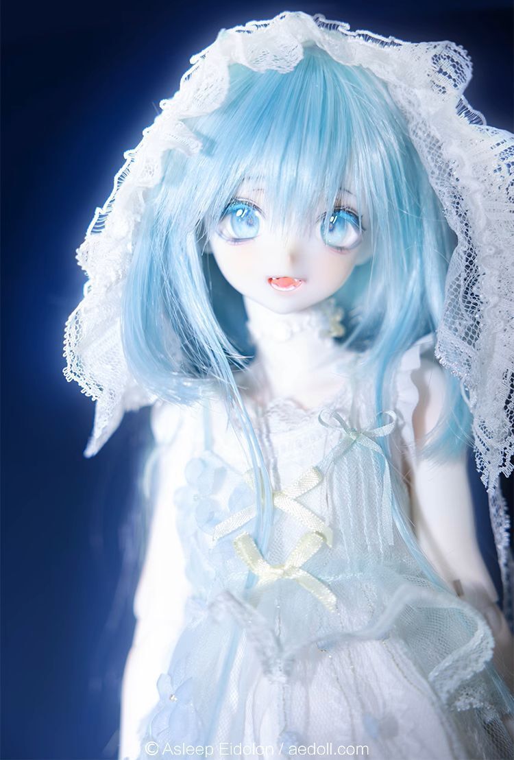 数量＆期間限定】淼淼 Fullset｜DOLK（ドルク）