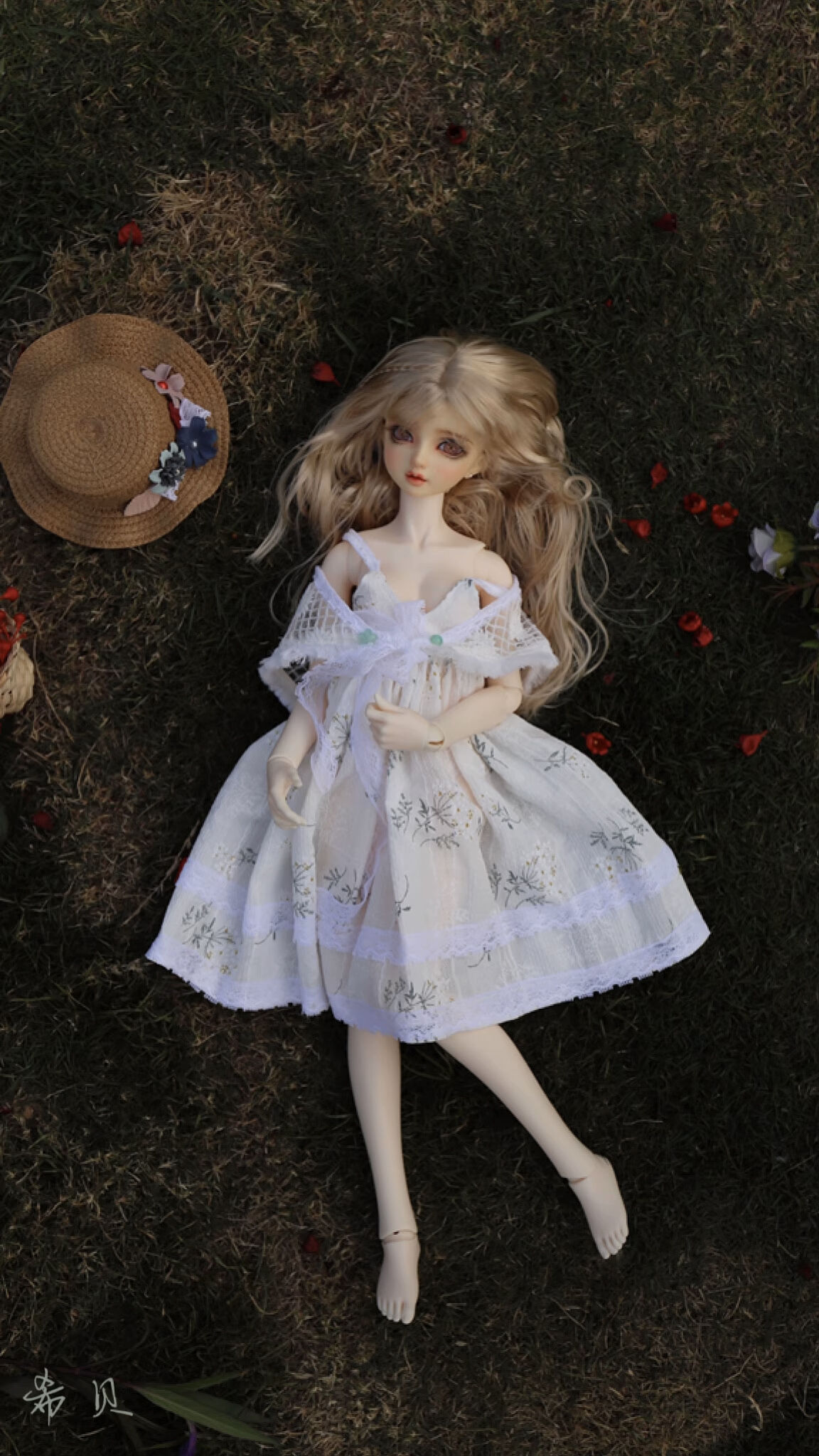 サマードレスセット【DD/SD】（DD・SD Girl）｜DOLK（ドルク）