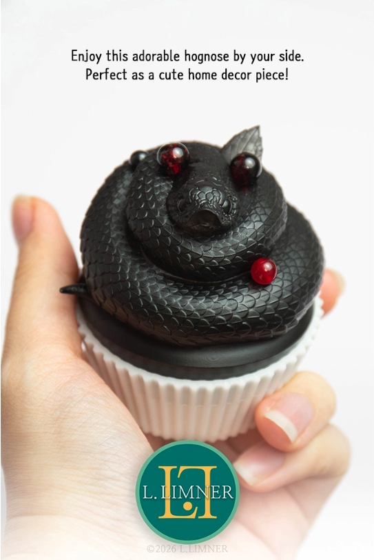 Cupcake Hognose Snake - Swiss Chocolate｜DOLK（ドルク）