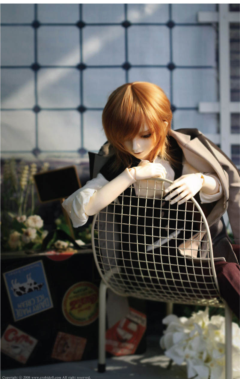 Limited time order] Day Dream Tei ver.nameless Limited | DOLK