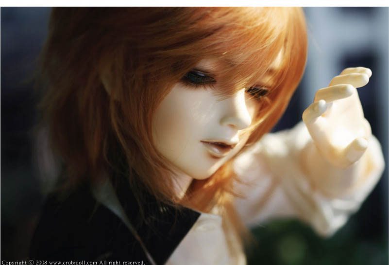 Limited time order] Day Dream Tei ver.nameless Limited | DOLK