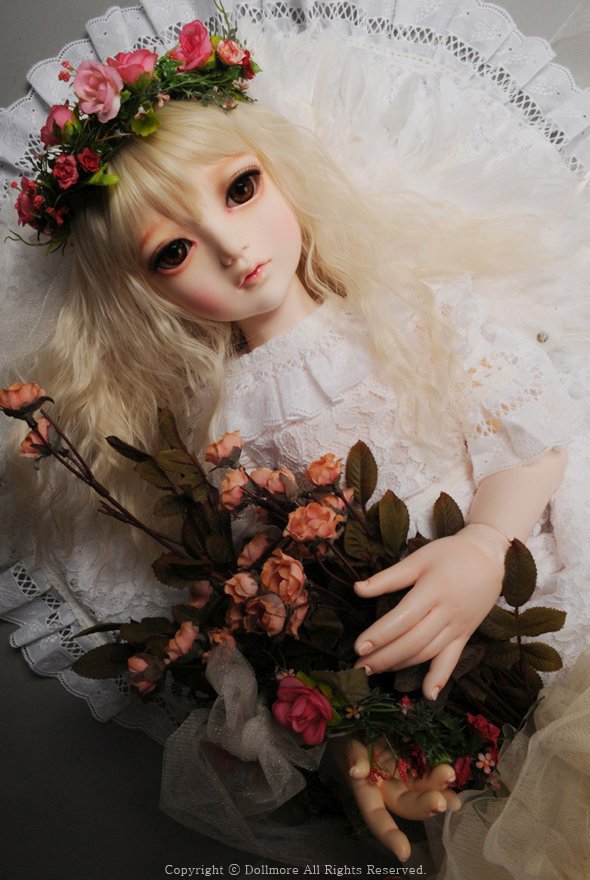 Dollmore】☆DOLK 定価25万円☆『Drawing Elenoir』 | www.jarussi.com.br