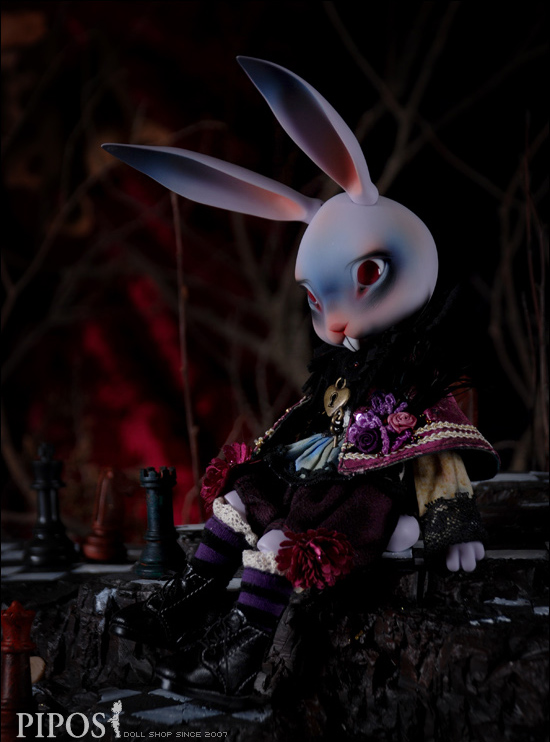 Dark Rabbit Limited Edition｜DOLK（ドルク）