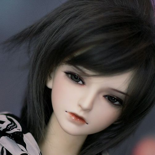 Knox｜DOLK（ドルク）