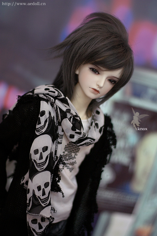 Knox｜DOLK（ドルク）
