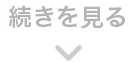 続きを見る