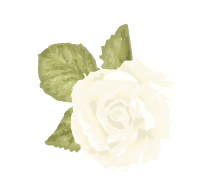 Sales info 販売情報