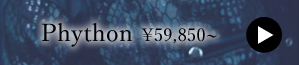 【2015.12プレオーダ】☆Phython：詳細はこちら