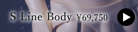 【2015.12プレオーダー】S Line Body：詳細はこちら