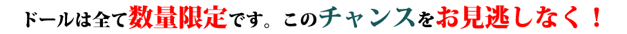 ドールは全て数量限定です。このチャンスを逃さないでください！