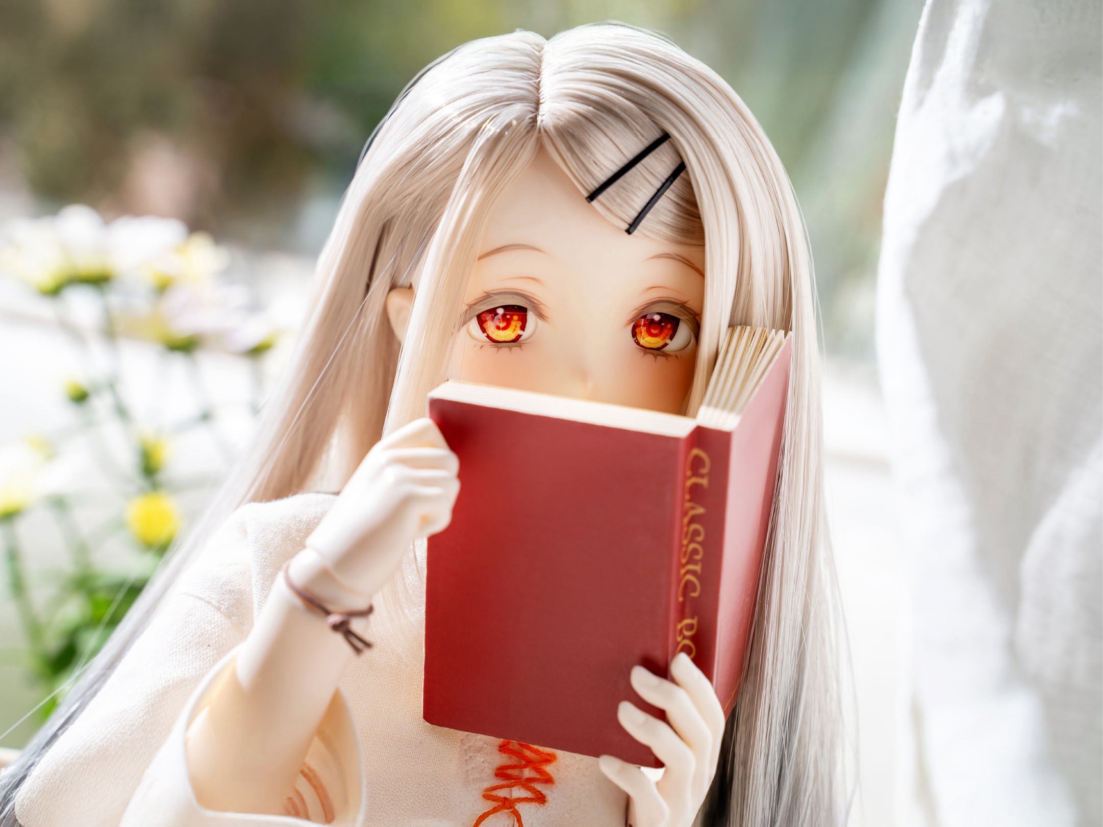 EXIBITION 展示情報