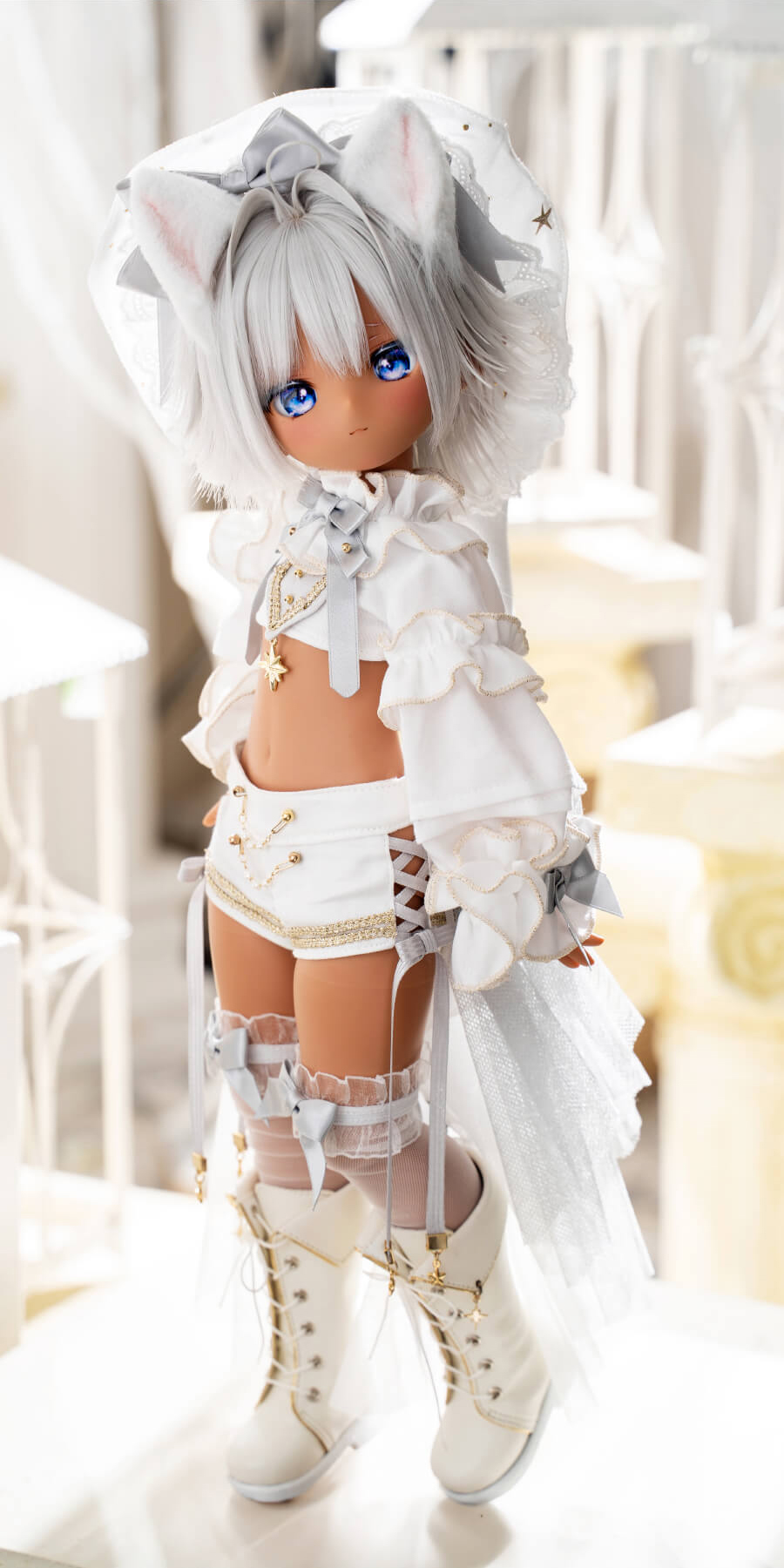 ドール展示情報