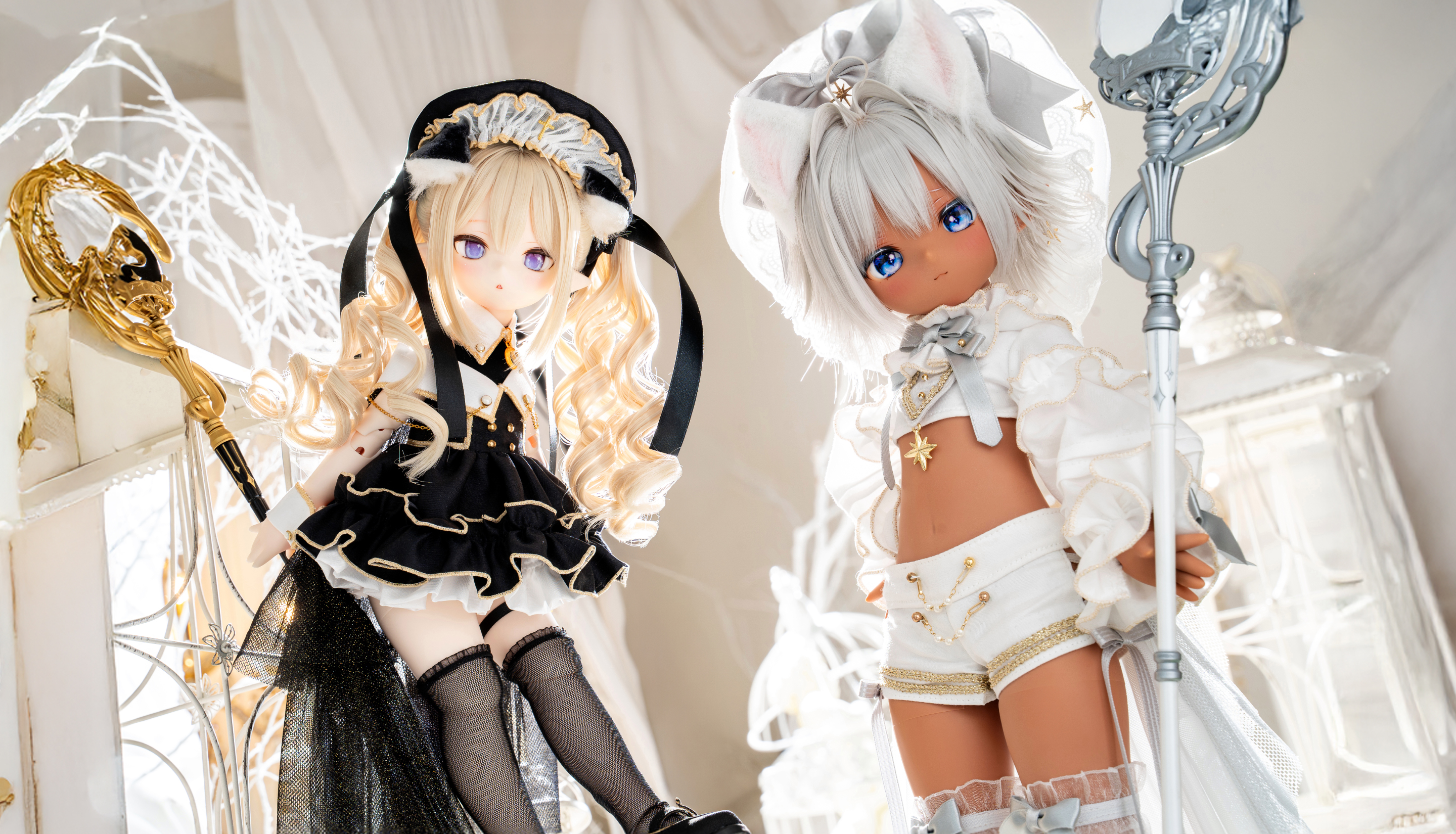 月の光に導水れた 双子叮猫魔道士。