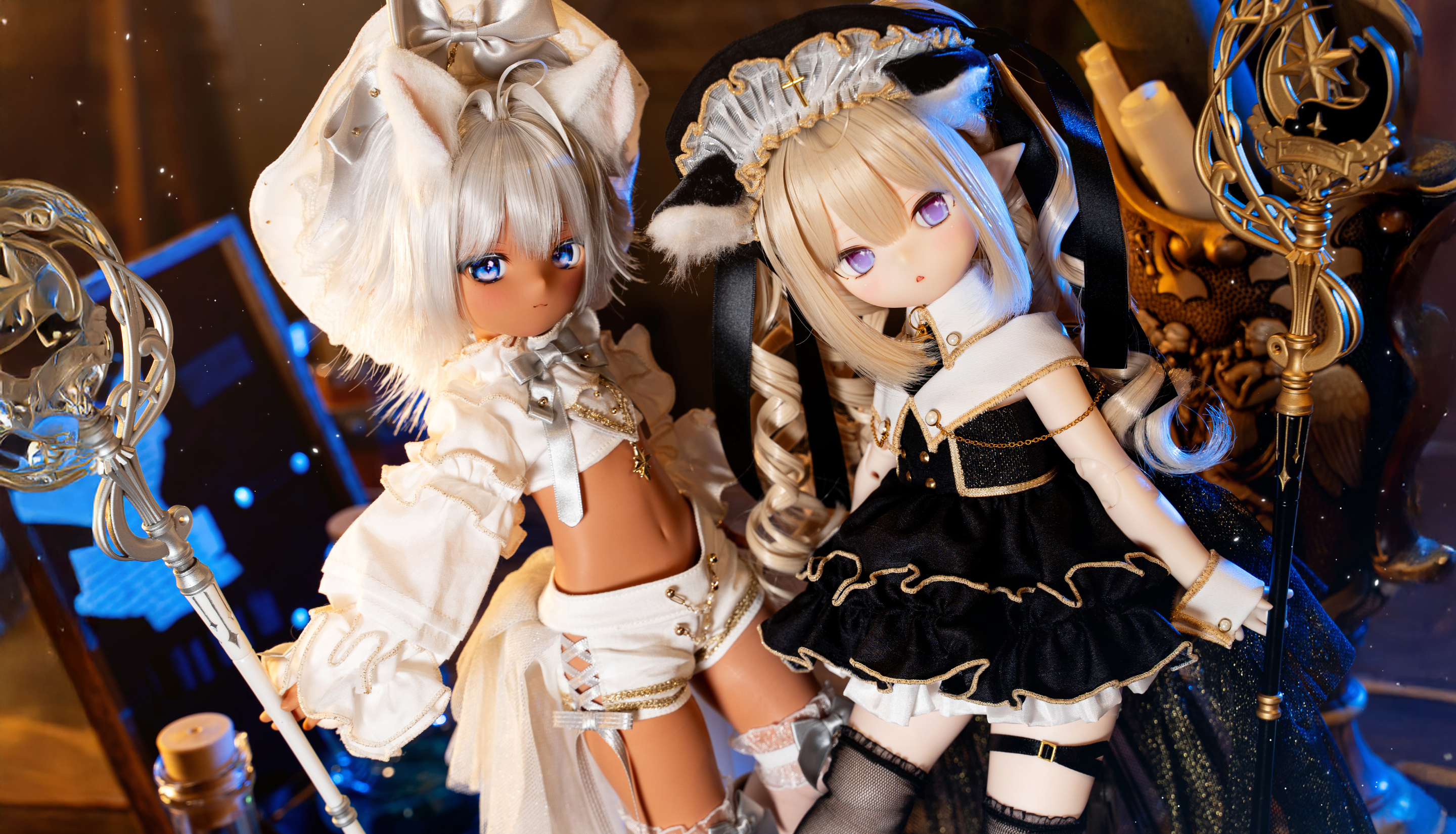 月の光に導水れた 双子叮猫魔道士。