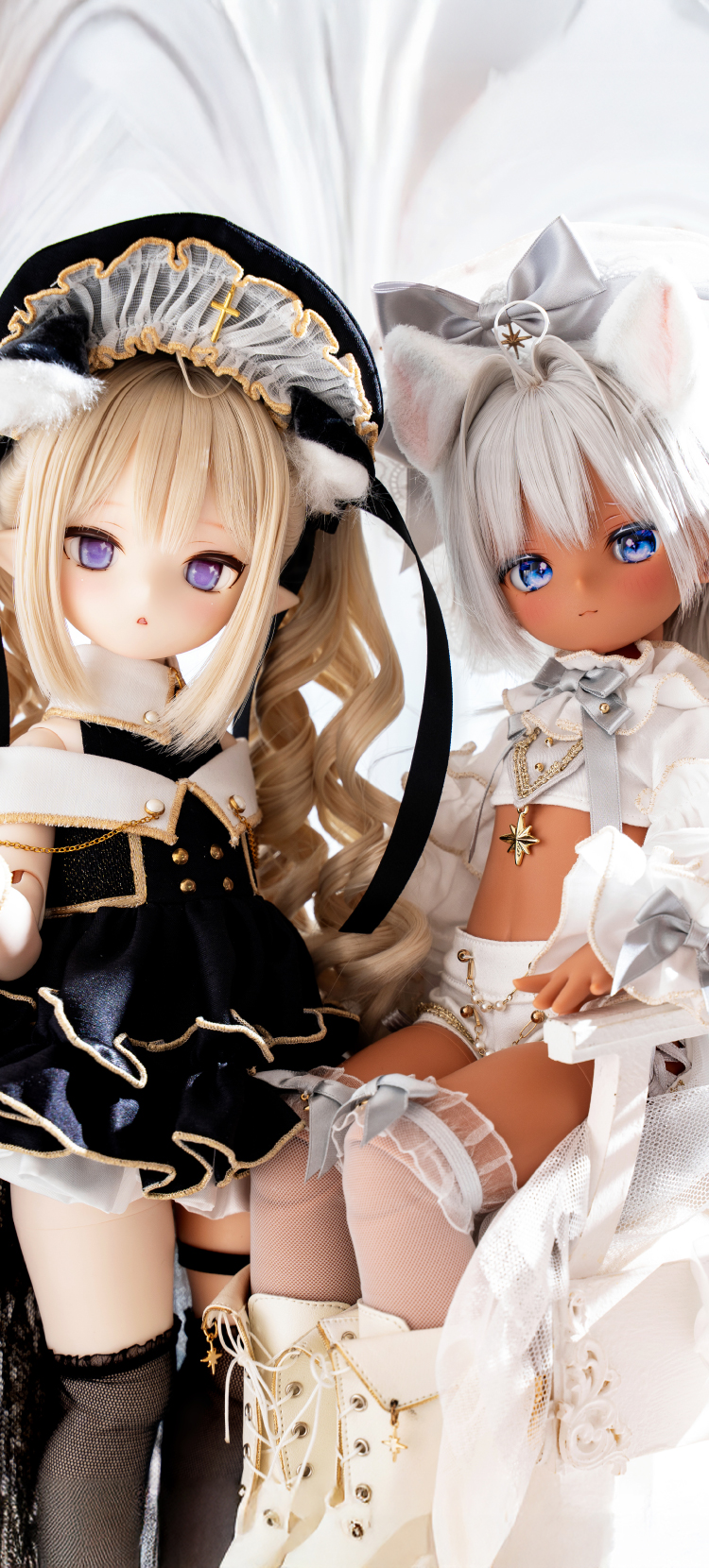 月の光に導水れた 双子叮猫魔道士。