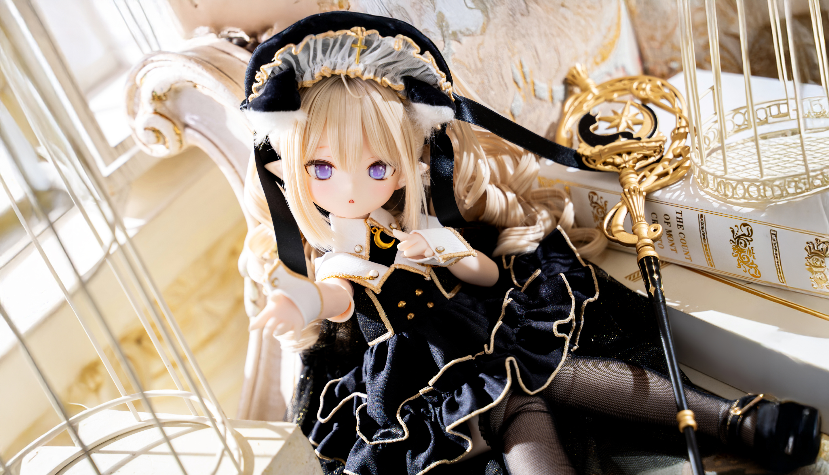 月の光に導水れた 双子叮猫魔道士。