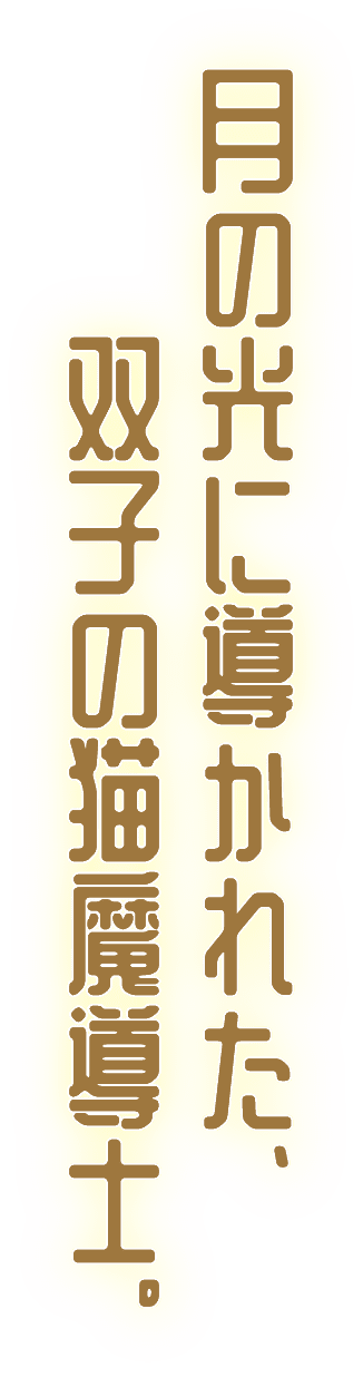 月の光に導水れた 双子叮猫魔道士。