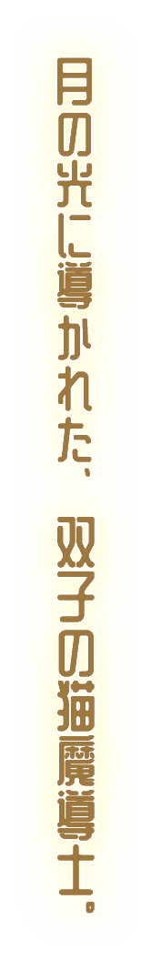 月の光に導水れた 双子叮猫魔道士。