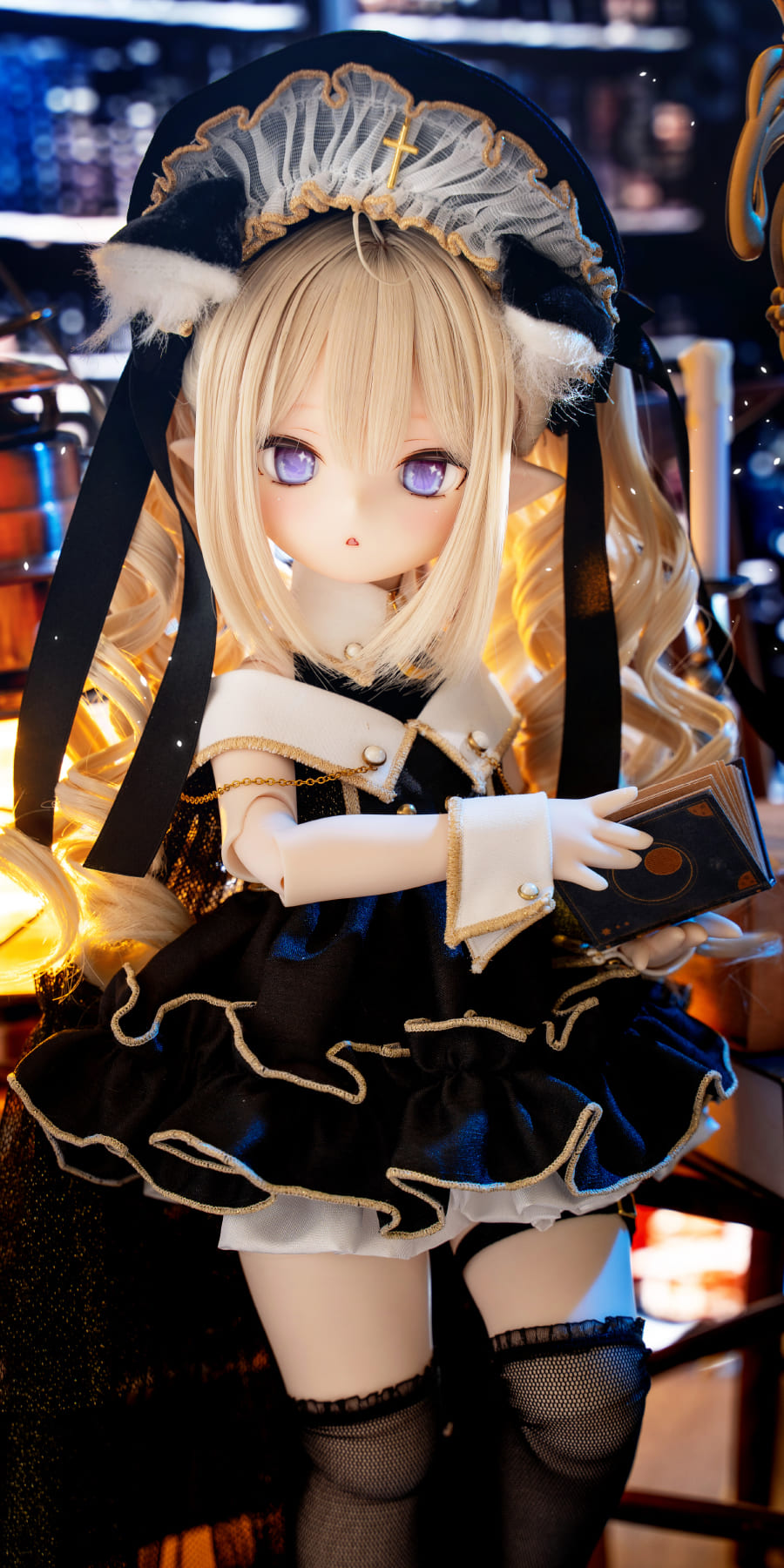 ドール展示情報