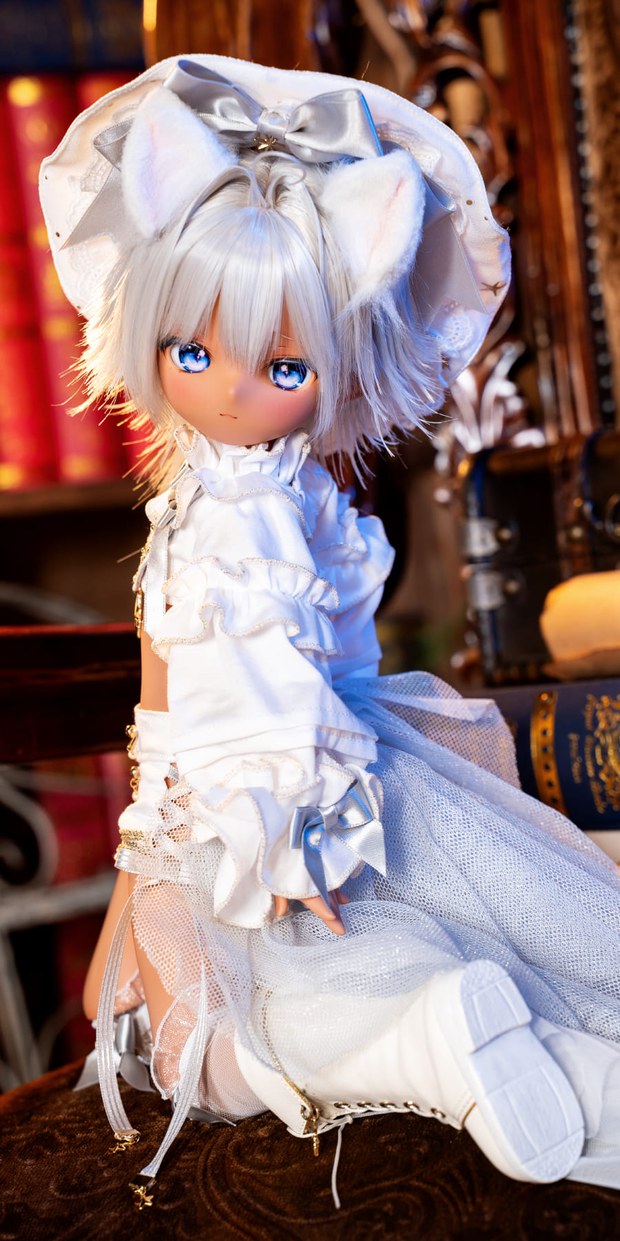 ドール展示情報