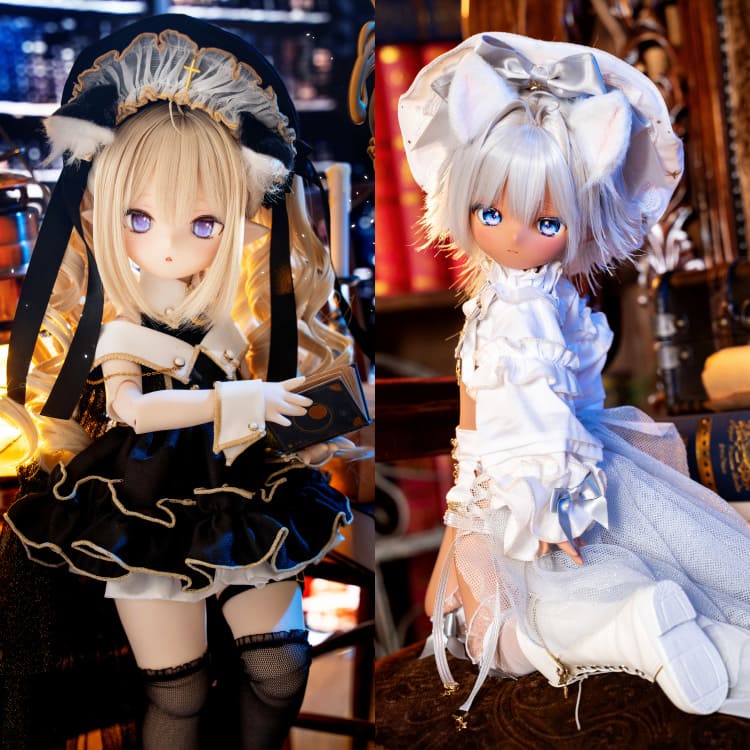 ドール展示情報