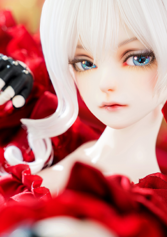 HEAD & FACE 風に舞う銀髪、美しい青い瞳