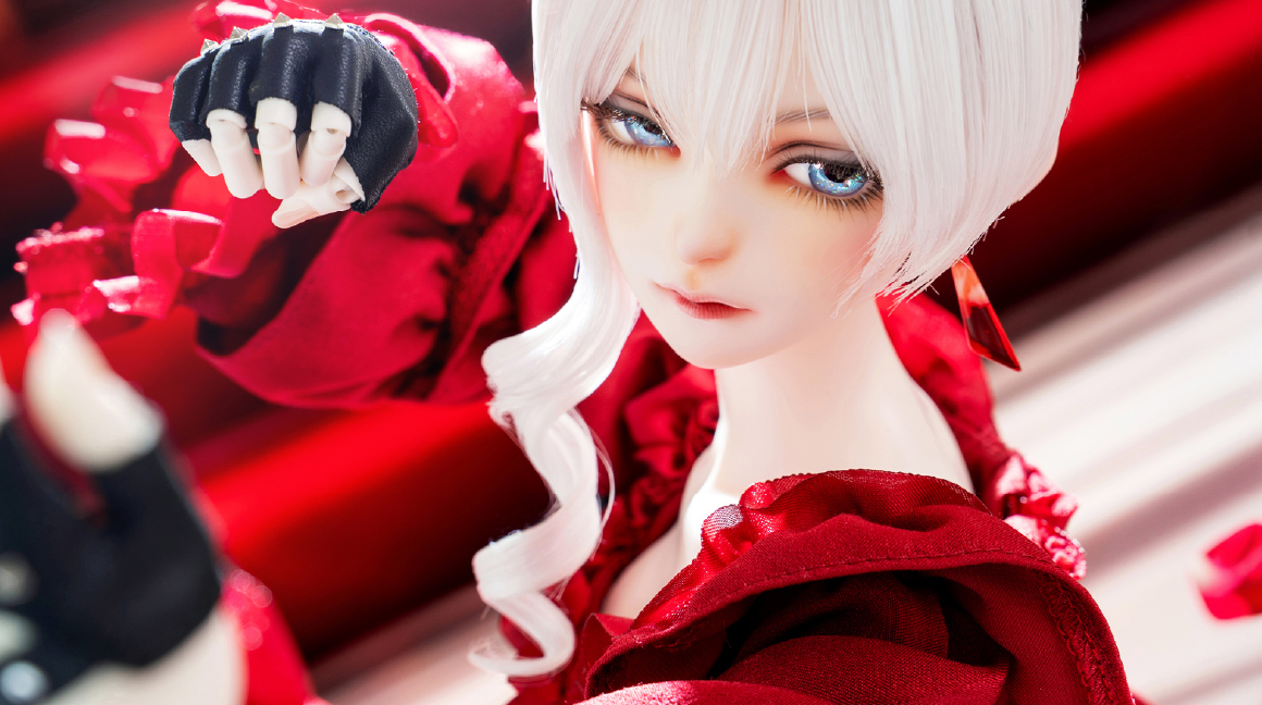 フォトギャラリー PHOTO GALLERY