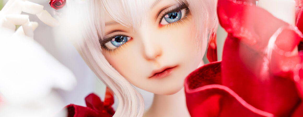 フォトギャラリー PHOTO GALLERY