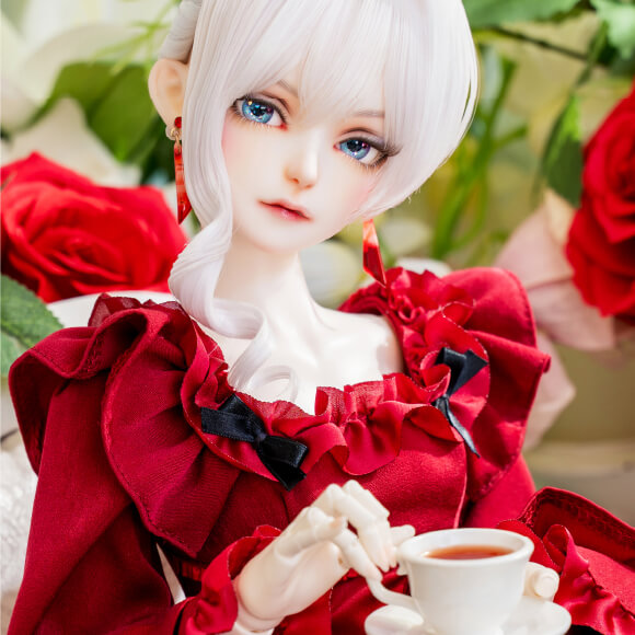 フォトギャラリー PHOTO GALLERY