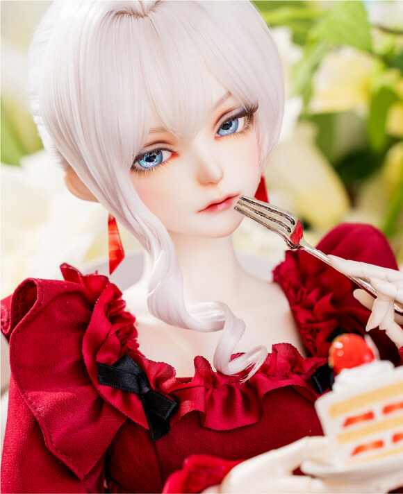 フォトギャラリー PHOTO GALLERY