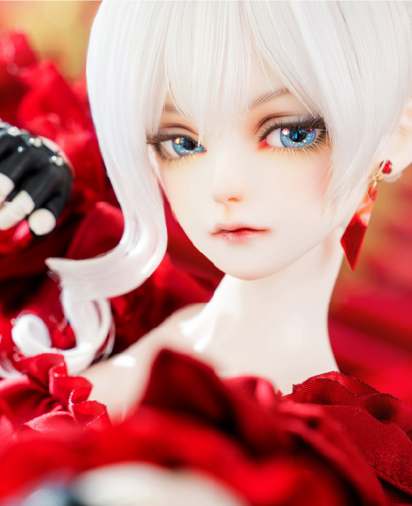フォトギャラリー PHOTO GALLERY