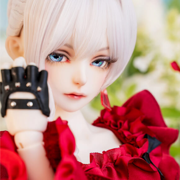 フォトギャラリー PHOTO GALLERY