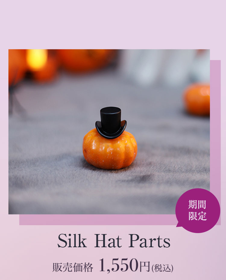 DEAR MINE｜AUTUMN2024 秋の新作 - DOLK（ドルク）