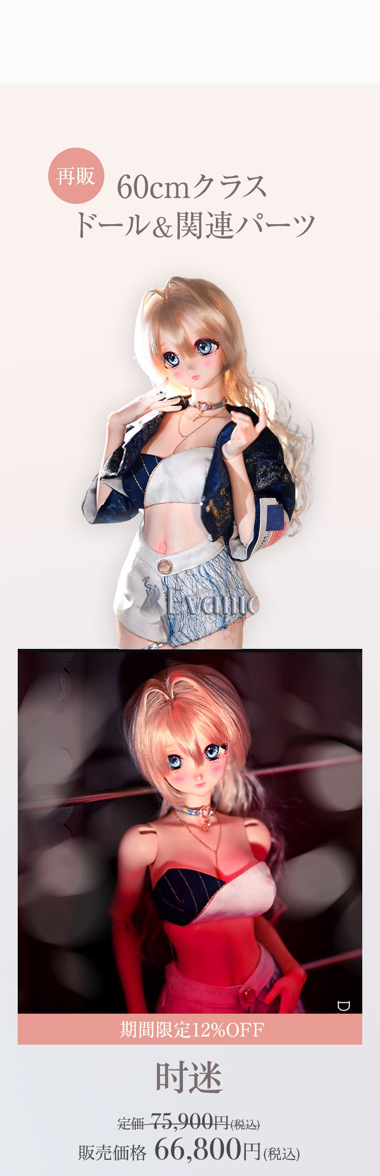 Evantasy｜新作リリース＆期間限定キャンペーン 特設 - DOLK