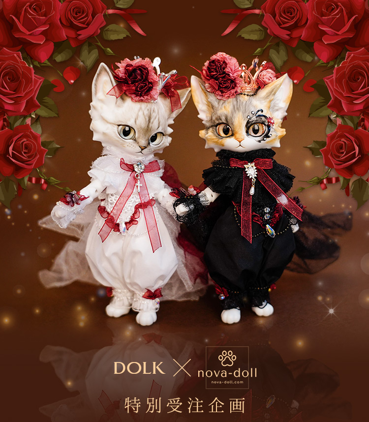 タイトルイメージ