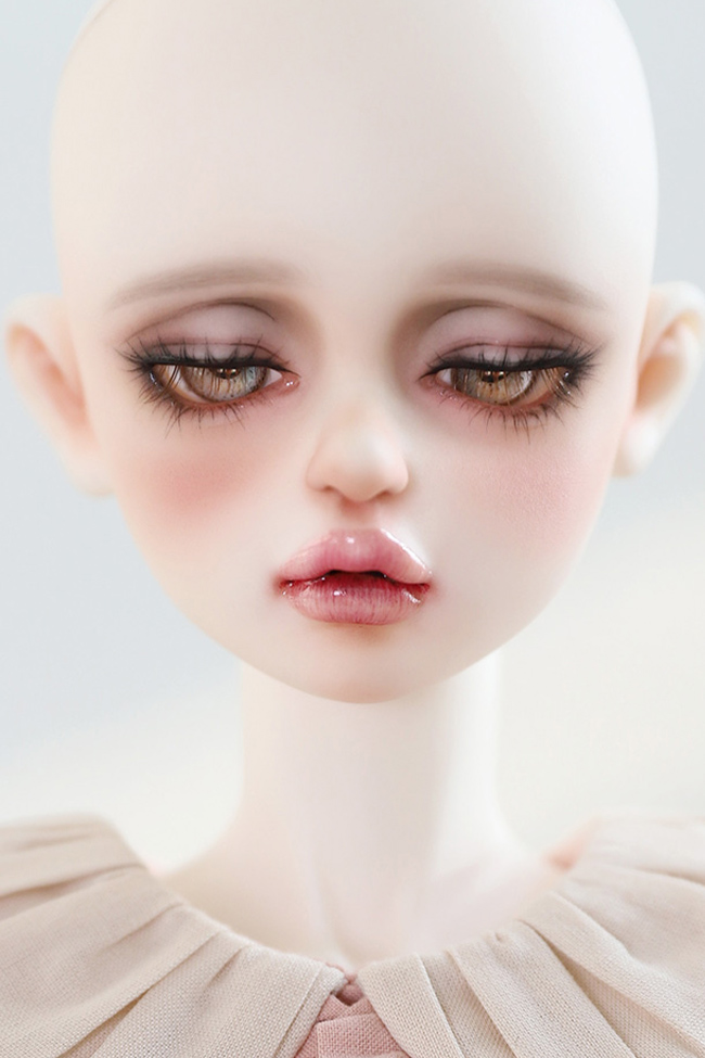 FOVEO｜新作＆期間限定プレオーダーのお知らせ 特設 - DOLK（ドルク）