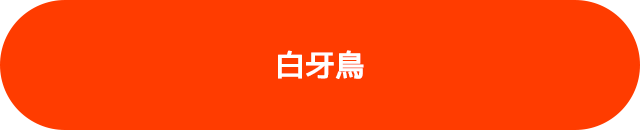 アーティストのtwitterはこちら