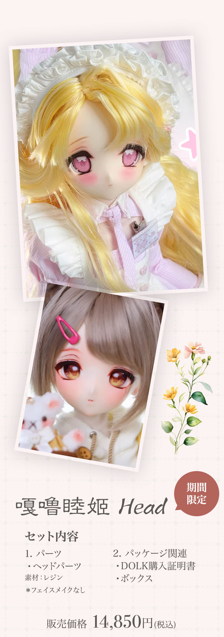 Zmoe DOLL｜新作リリースのお知らせ 特設 - DOLK（ドルク）