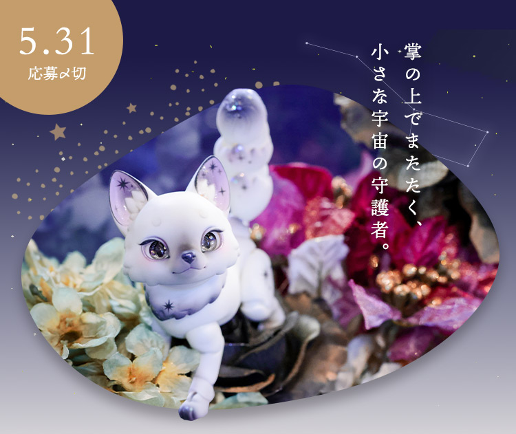 タイトルイメージ