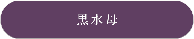 SNSはこちら