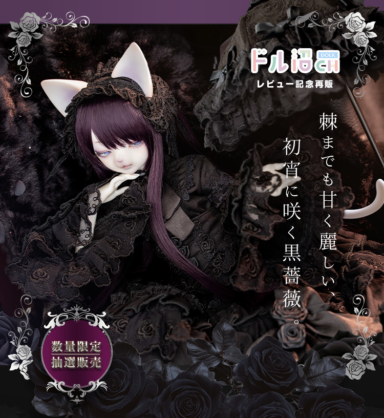タイトルイメージ