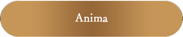 アーティストのSNSはこちら Anima
